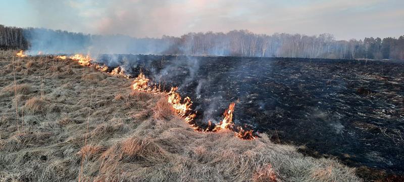 На территории Юргинского муниципального округа сохраняется высокая пожароопасность